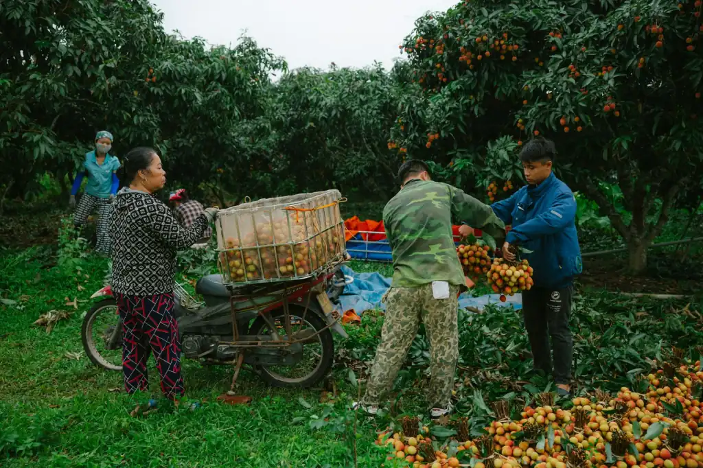 物联网数据采集技术在制造企业远程监控中的应用