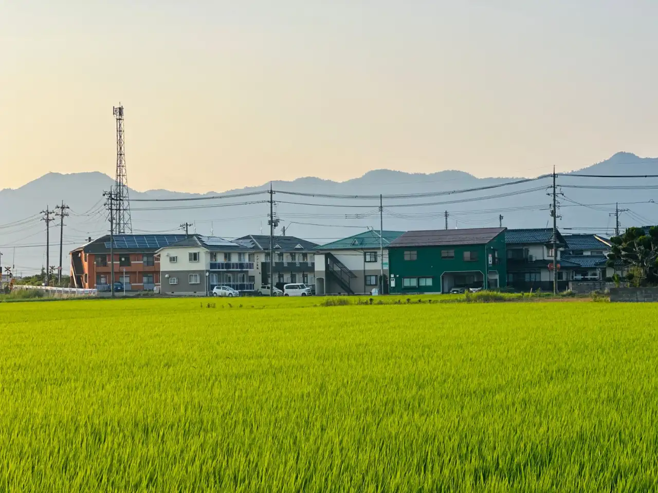 野梁科技物联网数据采集终端技术规格与选型要点解析
